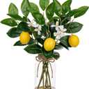 Oairse Faux Greenery Stems in Vase Aritificial Lemon Stems in Glass Vase with Faux Water Fake Lemons Branches Flower Arrangement Lemon Centerpieces for Home Kitchen Dinner Tables Decor