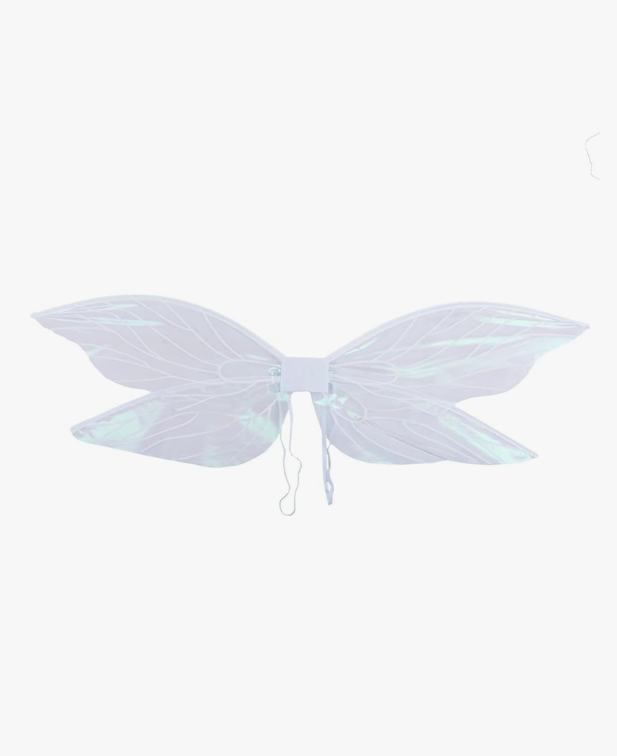 Fairy Wings Adult for Women, Angel Wings, Butterfly Wings for Girls,Transparent Princess Wings,Dress Up Party Favor Costumes