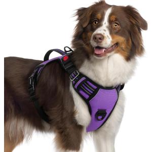 rabbitgoo Dog Harness, No Pull Pet Harness with Soft Padded Handle, Adjustable Reflective Vest with 3 Buckles, Easy Walking Harness with 2 Leash Clips, Purple, XL