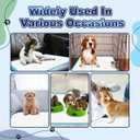 Puppy Pads XL 100 Count, Dog Pee Pads Extra Large, 34"x28" Pee Pads for Dogs, X-Large Disposable Dog Training Pads Super Absorbent&Leak-Proof, Quick-Dry Potty Piddle Pads for Doggy, Cats, Pet Supplies