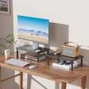 WALI Computer Monitor Stand for Desk, Adjustable Laptop Riser, Desk Monitor Stand Underneath Storage for Office, Home, School Supplies (STT003), 1 Pack, Black (Basic)