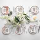 Zopeal 18 PCS Clear Charger Plates with Beaded Rim 13 Inch Plastic Round Charger Plates Bulk for Dinner Home Kitchen Wedding Party Tabletop(Rose Gold)