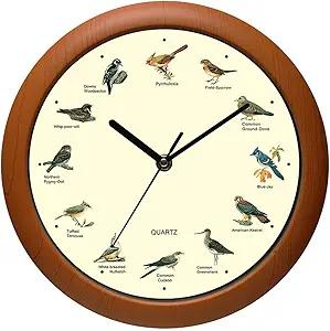 Belinlen Singing Bird Wall Clock 12 Inch of The Bird Names and Songs