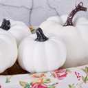 Artmag 8 Pcs Assorted Sizes Harvest White Artificial Pumpkins for Fall Halloween Thanksgiving Decorating Embellishing and Displaying