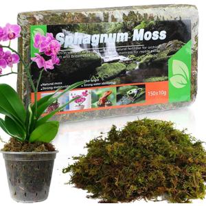 Doter Dried Forest Moss for Plants (5 qt / 1 Pack), Sphagnum Potting Moss for Various Plants, Including Orchids, Carnivorous Plants, Succulents, Garden Flowers, and Reptiles