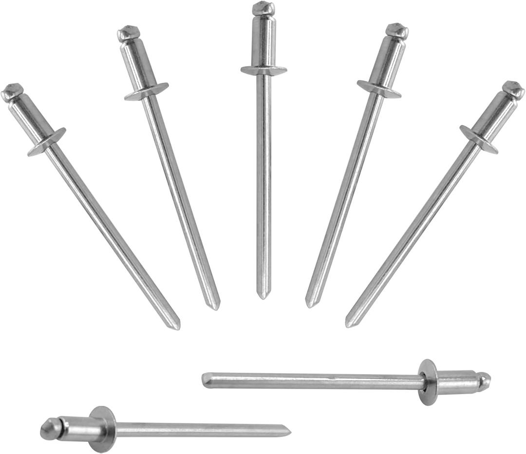 ALLCLEAN 300 Pcs 1/8"x1/4" Stainless Steel Blind Pro Rivets,3.2 x 6mm Pop Rivets,Stainless Steel Grip and Stainless Steel Mandrel