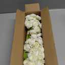 Alupssuc 30Pcs Ranunculus Artificial Flowers Faux Silk Mini Ranunculus, Spring Flowers Artificial Indoor for DIY Bouquets, Bulk Fake Wedding Filler Flowers for Bride Shower Decorations, Ivory White