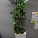 5ft Ficus Artificial Tree with 3 Natural Curved Trunks, 60" Tall Lush Faux Tree for Home Decor Indoor, Green Lifelike Fake Ficus Tree with White Planter Pot