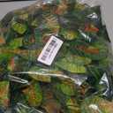 WOLEDOE Reptile Plants for Terrarium, Ball Python Tank Decor Accessories fit Bearded Dragon Crested Leopard Gecko Lizard Chameleon Snake Frog Tortoise Hermit Crab - Fake Monstera