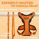 rabbitgoo Cat Harness and Leash for Walking, Escape Proof Soft Adjustable Vest Harnesses for Cats, Easy Control Breathable Reflective Strips Jacket, Orange, S
