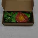 Libima 2 Pcs 52 Inch 3D Big Palm Tree Balloons Birthday Wedding Party Decor Inflatable Palm Tree Foil Balloons for Kids Adults Hawaiian Luau Party Baby Shower Ball Summer Theme Decorations