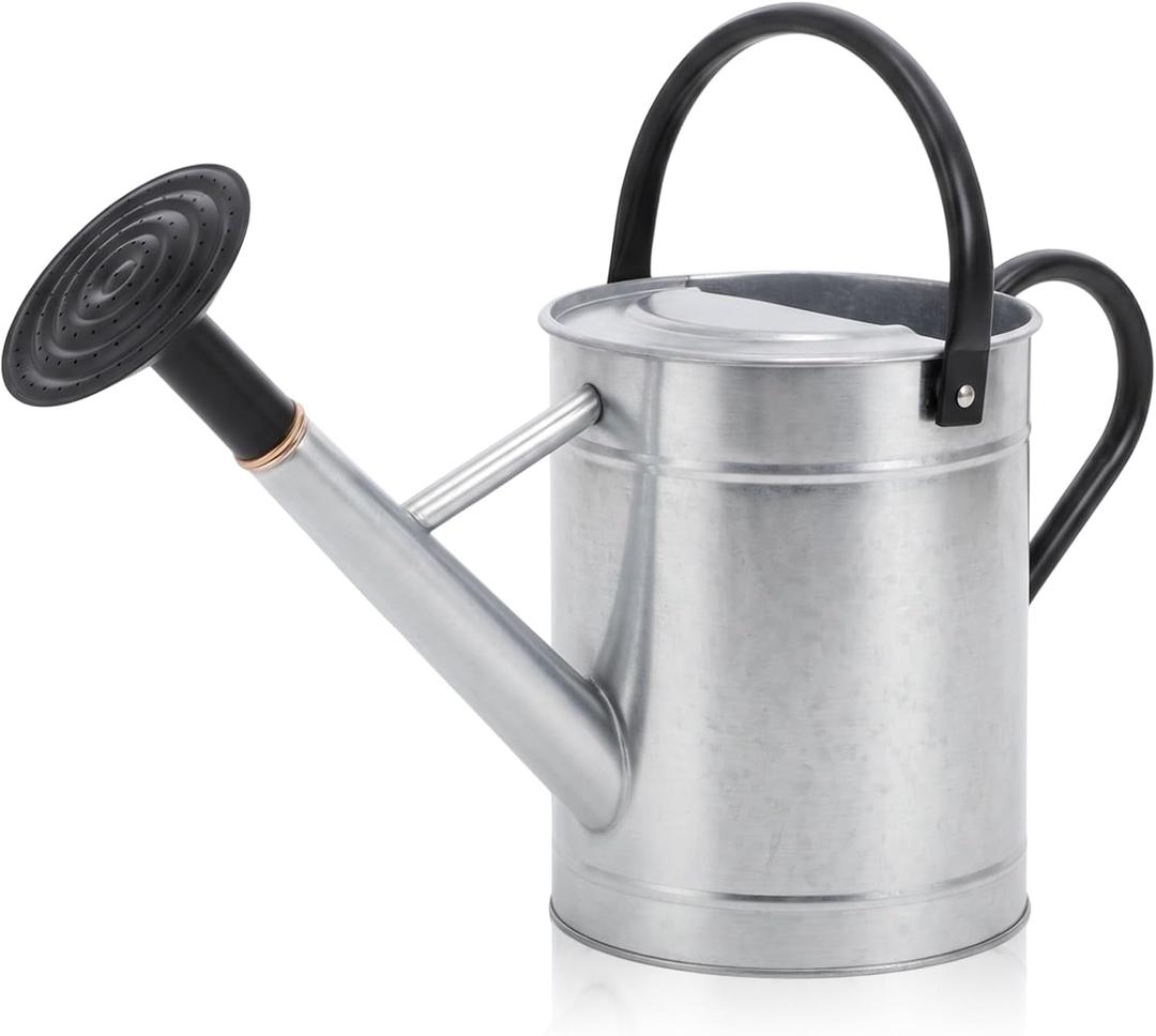 1 Pcs 1 Gallon Metal Watering Can for Indoor Outdoor Plants, Galvanized Garden Water Can with Long Spout and Dual Handles, Large Silver Watering Pot for Flowers, Houseplants, Yard