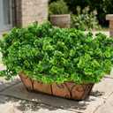 Artificial Fake Outdoor Plants for Spring Summer Decoration, 12 Bundles Fake Plastic Roses UV Resistant Look Real Faux Plants for Planter Outside Front Door Porch Patio Balcony Garden Indoor Yard Urn