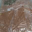 Pieviev Cat Litter Mat Double Layer Waterproof Urine Proof Trapping Mat 1 Pack (30''X24'', Brown)