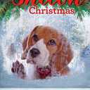 A Shiloh Christmas (The Shiloh Quartet)