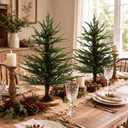 2 Pack 2 ft Tabletop Norfolk Pine Christmas Trees with Vintage Base
