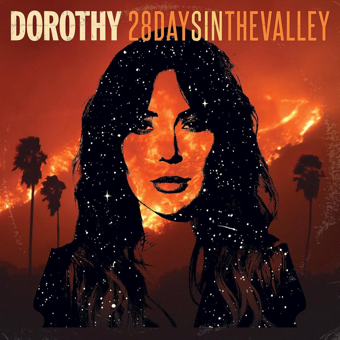 28 Days In The Valley Explicit Lyrics