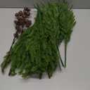 Artificial Christmas Norfolk Pine Stems Branches for Vases,12 Bundles Fake Pine Stems with 2 PCS Small Pinecones Branches Faux Evergreen Real Touch Greenery for Xmas Holiday Winter Table Indoor Decor