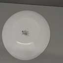 Bormioli Rocco Plate,  Dinner Plates, 24