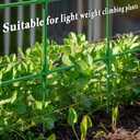 Pea Trellis, Trellis for Peas, 47" L x 65" H Tall Expandable Pea Trelli for Raised Bed Garden, Sturdy Garden Trelli for Beans, Peas & Other Climbing Vegetables