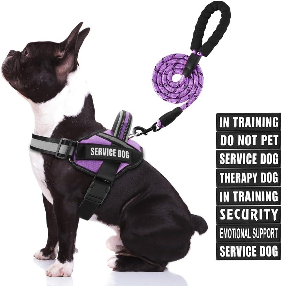 Service Dog Vest Harness and Leash Set, Animire in Training Dog Harness with 10 Dog Patches, Reflective Dog Leash with Soft Padded Handle for Small, Medium, Large, and Extra-Large Dogs (Purple, M)