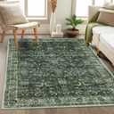 Anidaroel Area Rug 4x6 Washable Living Room Rugs, Soft Boho Rug for Bedroom, Non Slip Stain Resistant Indoor Throw Carpet, Distressed Entryway Kitchen Rugs for Apartment Dining Room, Dark Green