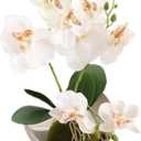 10.6 Inches Artificial Butterfly Flowers with Vase Potted Phalaenopsis Orchid Plant Silk Butterfly Orchid Flowers for Wedding Office Home Decor Indoor Centerpieces (White)