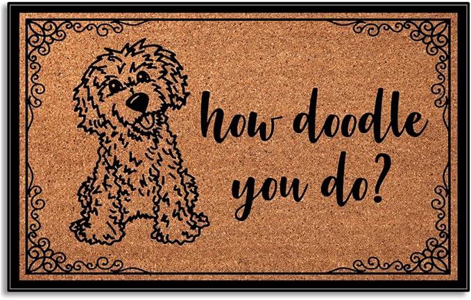 How Doodle You Do Low Profile Door Mat for Front Door Inside Door Mats for Home Entrance, Inside Front Doormat 28"X17"