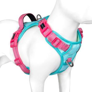 PHOEPET No Pull Dog Harness, Unique Colors Reflective Adjustable Dog Vest, with Soft Training Handle Metal Clips for Small Medium Large Dogs (Mint Green Base & Pink Straps, XS)