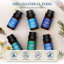 Essential Oil Set, Blended Essential Oils for Diffusers for Home Candle & Soap Making, Scented Voyage with Six Scents for Aromatherapy & Humidifiers, 6 x 10ml