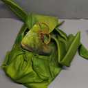 Seasons Child Praying Mantis Costume (M(8-10))