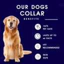 Calming Collar for Dogs - Natural Dog Anxiety Relief Collar, Dog Stress and Anxiety Relief, Reduces Stress & Unwanted Behaviors, 60-Day Effect, 13-20 Inch Adjustable & Waterproof