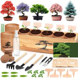 5 Pack Bonsai Tree Kit - 5 Seeds Growing Plant Bonsai Tree Live Kit for Beginners, Easy to Grow Complete Indoor Garden Starter Kits with Wooden Box & Tools, Christmas Gifts for Men Women Plant Lover