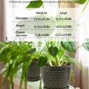 Plant Pots, Flower Pots, Planters for Indoor Plants(6.5+5.5inch), Flower Pots for Indoor Plant with Drainage Hole and Saucer, Ceramic Pots for Plants with Hole Mesh Pad,Reactive Glaze Green