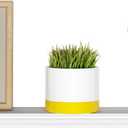 WELLAND 36 Inch Solid Pine Wood Floating Shelves Wall Mounted,Corona Crown Molding Floating Wall Display Shelf,White Finished.
