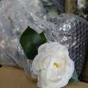 3FT Artificial Camellia Tree 2 Pack, UV Resistant Faux Camellia Plants with Realistic White Flowers, Tall Fake Potted Trees for Front Porch Patio Garden Home Decor, Indoor Outdoor