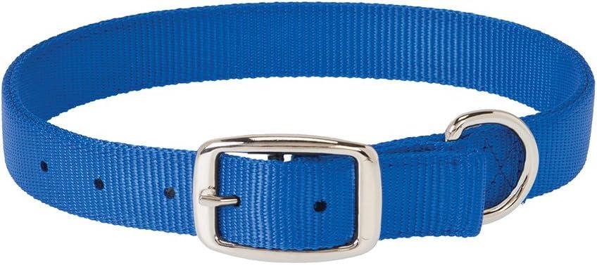 Weaver Dog Collar (1 x 19-inch, Blue)