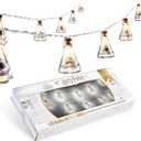 Harry Potter Fairy Lights Potion Bottle Hanging String Lights 10 LED 5ft for Bedroom Dorm Living Room Indoor Decor Gifts for Kids Adults