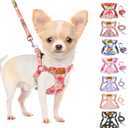 SlowTon No Pull Dog Harness with Leash - Soft Lightweight Floral Pattern Puppy Harness, Adjustable Pet Harness for Dogs (Pink Rose XS)