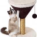 Sosation Espresso Martini Cat Scratcher 19.7" H Cat Scratching Post Scratcher with Dangling Ball for Indoor Cats Scratching Post for Kittens and Medium Large Cats