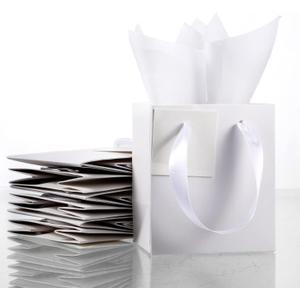 Tenare 12 Pcs Small Gift Bags Mini Paper Bag with Handle Tissue Happy Mother Father's Day Party Favor Supplies(4 x 2.75 x 4.5 Inch,White)
