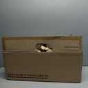 3-Light Brushed Gold Vanity Lights, E26 Modern Bathroom Light Fixtures with Clear Glass Shade, Wall Lamps for Mirror Kitchen Hallway Cabinet Living Room Sconces Lights