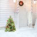 Christmas Tree 30 inch Prelit 2 Set Pathway Porch Christmas Trees Pre-Light LED Battery Operated Outdoor Xmas Decor for Entrance Driveway, Yard, Garden, Red Berries, Pine Cones