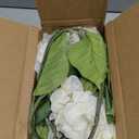 5Pcs Realistic White Hydrangea Artificial Flowers with Stems 21 Inch Lifelike Faux Hydrangeas Flower Large Hydrangea for Weddings Bouquets Table Centerpieces Home Decor Party