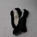 Casual Canine Lil' Stinker Dog Costume, X-Large (fits lengths up to 24"), Black/White