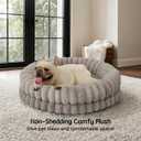 BALANCE Fluffy Round Dog Bed for Medium Dogs, Orthopedic, 30in, Oatmeal
Washable Calming Donut Dog Bed with Supportive Bolster and Anti-Slip Bottom, for Dogs Up to 30 Lbs