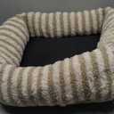 MIXJOY Dog Beds for Small Dogs Cats, Washable Dog Bed with Removable Cover, Soft Calming Cat Bed for Indoor Cats, Rectangle Pet Sofa Bed for Puppy Kitty, Anti-Slip Bottom,20"x19"x6", Beige