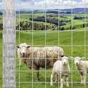 Farm Fence,4 ft x 328 ft Heavy Duty Galvanized Field Wire Fencing,Wire Fence for Yard Garden & Animals Protection,Metal Garden Fencing for Cattle,Deer,Goat,Hog