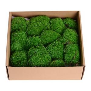 TurelinnG Preserved Moss Decor - Real Fores