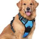 rabbitgoo Dog Harness No Pull with 2 Leash Clips, Adjustable Soft Padded, Reflective Oxford No Choke Pet Vest with Easy Control Handle for Large Dogs, Blue, XL